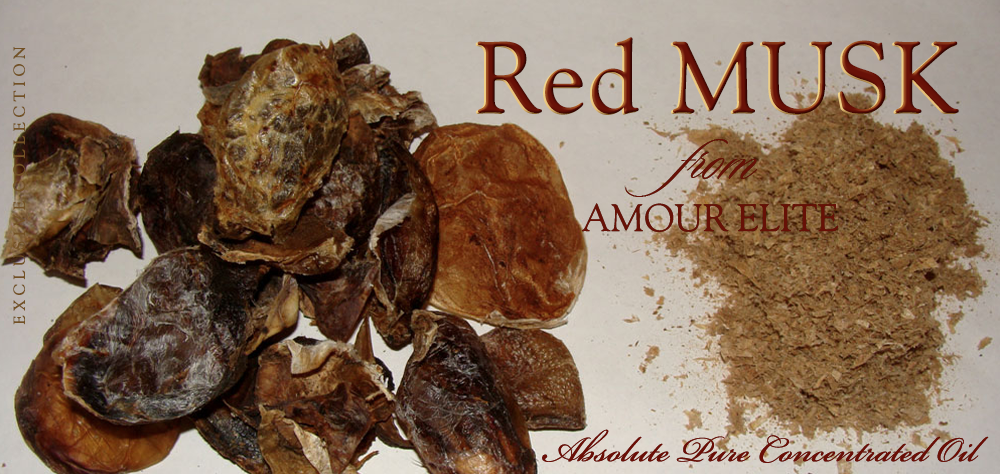 Духи Новинка! Масляные духи Amour Elite Red MUSK - Красный Мускус Кабарги Абсолют. Мускусный аромат.