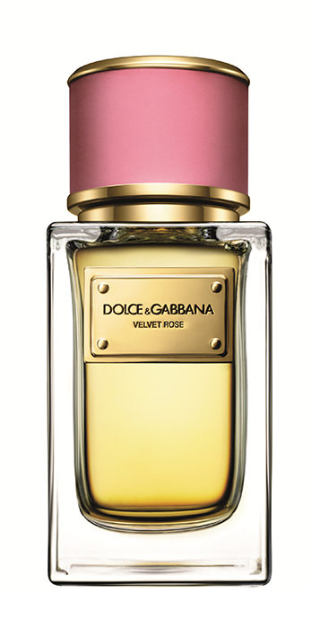 Velvet Rose, Dolce & Gabbana
