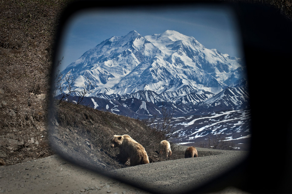 69bears-in-my-side-view-mirror
