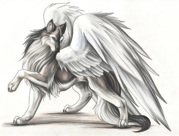 как нарисовать аниме волка с крыльями