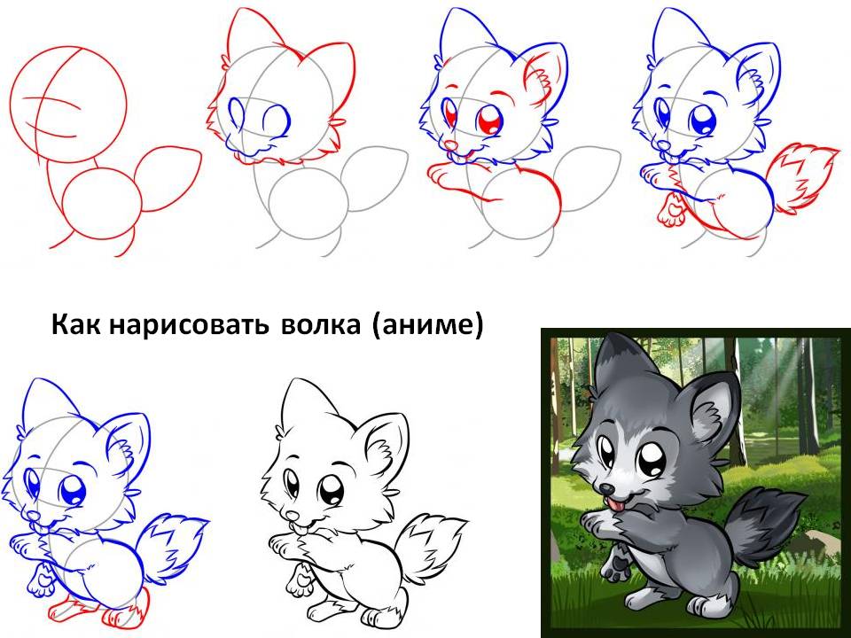 Как нарисовать волка (аниме)