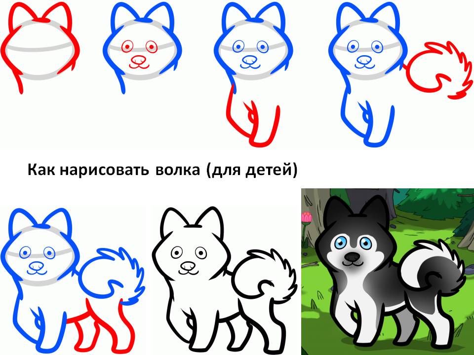 Как нарисовать волка (для детей)
