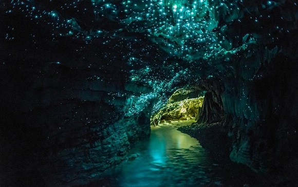 Пещеры Глоуворм (Новая Зеландия)