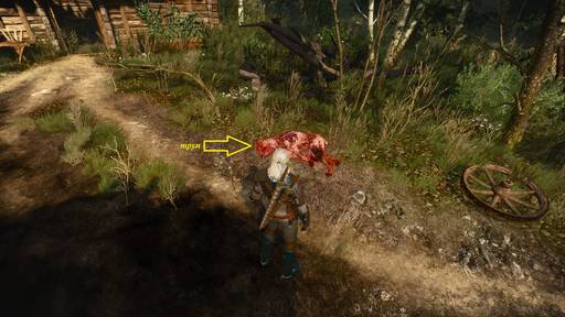 The Witcher 3: Wild Hunt - Ведьмак 3: Дикая охота. Ведьмачьи заказы. Белый Сад и Велен. The Witcher 3: Wild Hunt - Ведьмак 3: Дикая охота. Ведьмачьи заказы. Белый Сад и Велен.