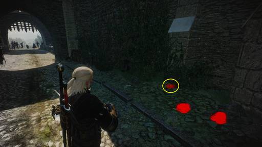The Witcher 3: Wild Hunt - Ведьмак 3: Дикая Охота. Ведьмачьи заказы. Новиградские земли The Witcher 3: Wild Hunt - Ведьмак 3: Дикая Охота. Ведьмачьи заказы. Новиградские земли