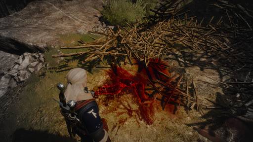 The Witcher 3: Wild Hunt - Ведьмак 3: Дикая Охота. Ведьмачьи заказы. Новиградские земли The Witcher 3: Wild Hunt - Ведьмак 3: Дикая Охота. Ведьмачьи заказы. Новиградские земли