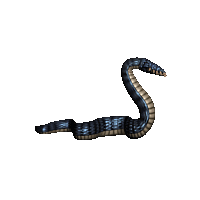 Морской змей