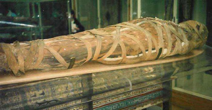 рамзес ii мумия