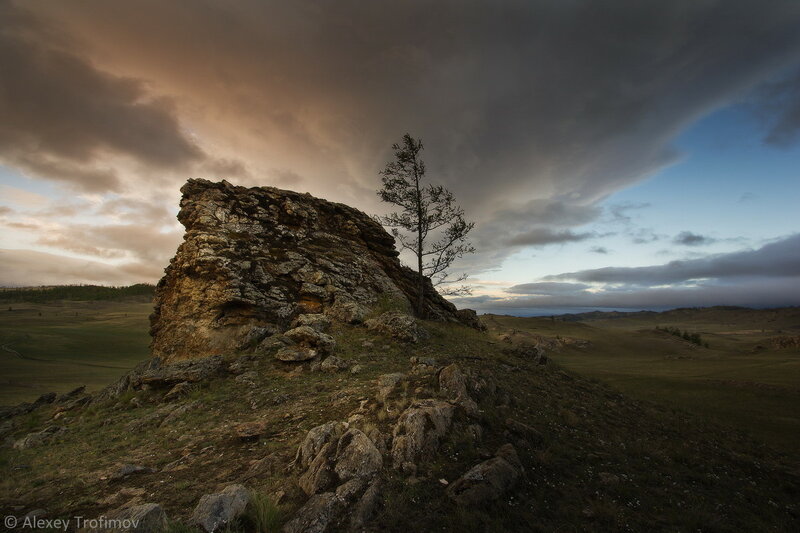 Baikal_2017_06_Stone&Tree.jpg